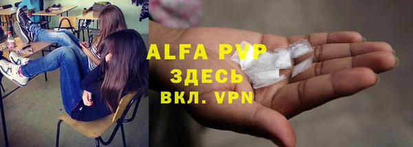 apvp Алзамай
