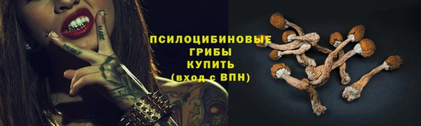 apvp Алзамай